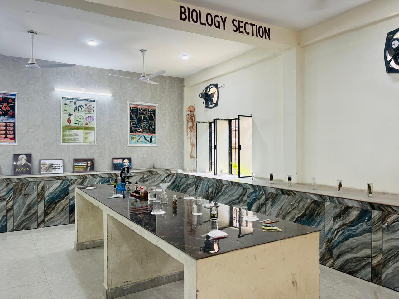 School Gallery